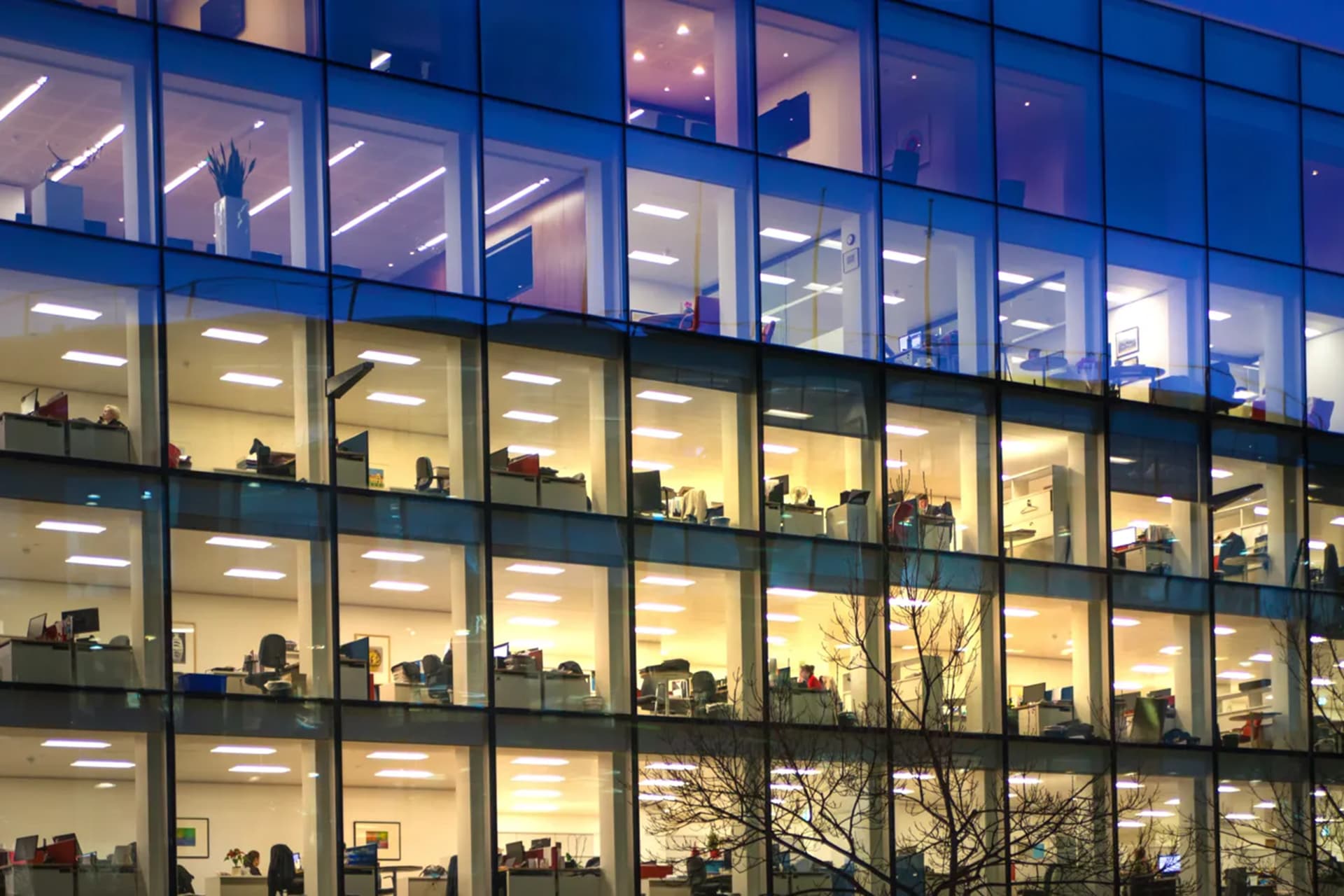 AI Revolution: How White-Collar Jobs Are at Risk and What It Means for the Future