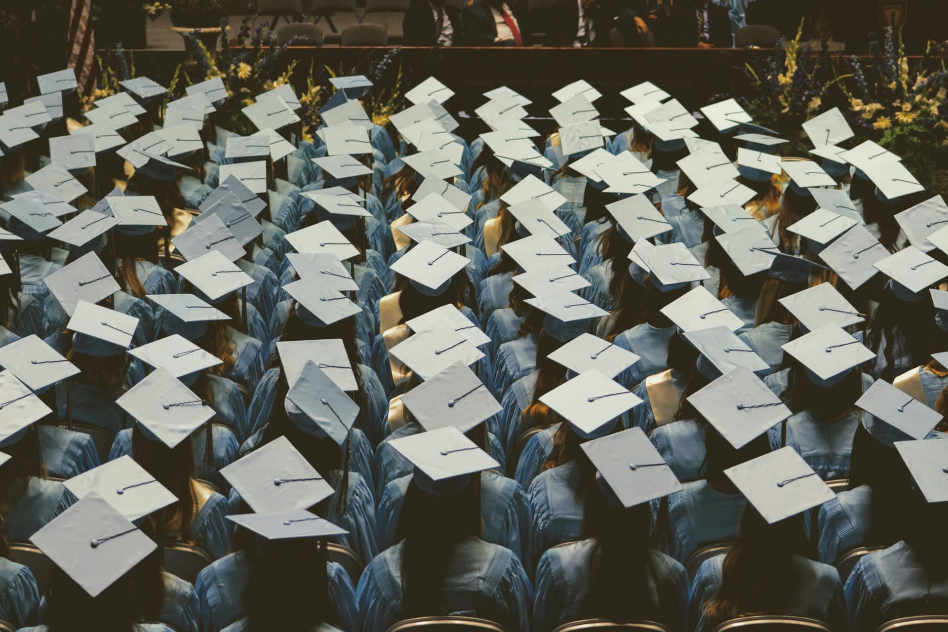 Tech Grads Struggle in AI-Driven Job Market: The Untold Challenges