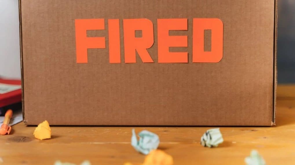 AI's Global Takeover: Over 100,000 Tech Jobs Vanished in 2025 – What's Next for Your Career?
