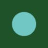 BlueinGreen logo