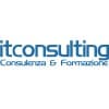 Itconsulting logo